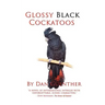 Glossy Black Cockatoos