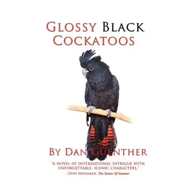 Glossy Black Cockatoos