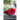 Dead Pretty: An FBI agent, a TV star, and a serial killer. Love hurts.