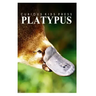 Platypus - Curious Kids Press: Kids book about animals and wildlife, Children's books 4-6