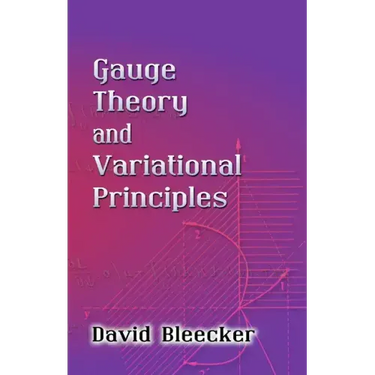 Gauge Theory and Variational Principles