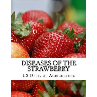 Diseases of the Strawberry: A Guide For The Strawberry Grower