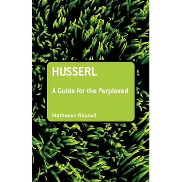 Husserl: A Guide for the Perplexed