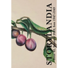 Storylandia 42