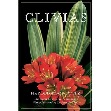 Clivias