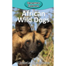 African Wild Dogs