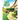 Learn to Landscape 2022: Step-By-Step Guide to Make Your Beautiful Garden