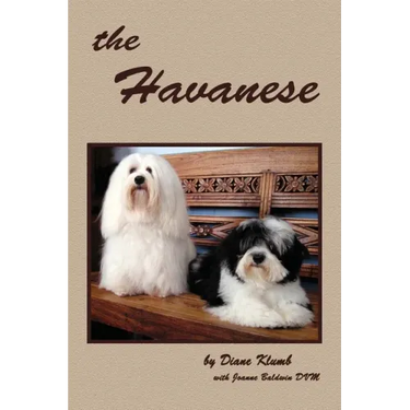 The Havanese