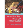 Folk Tales of the Caribbean: How the Red Ants got their Color