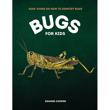 Bugs for Kids