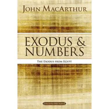 Exodus and Numbers: The Exodus from Egypt