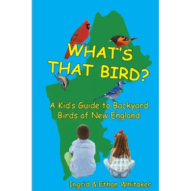 What's That Bird? - A Kid's Guide to Backyard Birds of New England