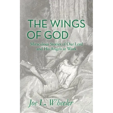 The Wings of God: Miraculous Stories of Our Lord and His Angels at Work