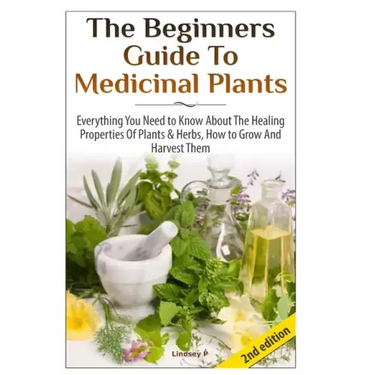 The Beginners Guide To Medicinal Plants