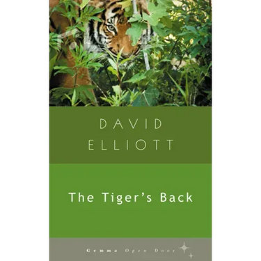 The Tiger's Back