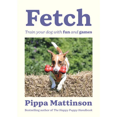 Fetch: Train Your Dog with Fun and Games