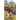 The Curious Clues