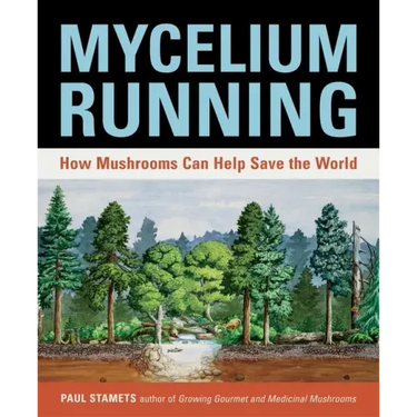 Mycelium Running: How Mushrooms Can Help Save the World