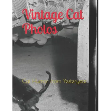 Vintage Cat Photos: Cat Humor from Yesteryear
