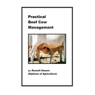Practical Beef Cow Management