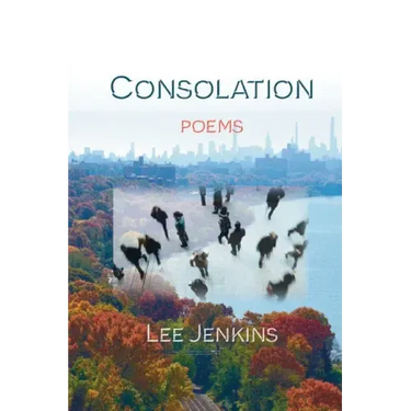 Consolation; Poems