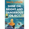 Shine On, Bright and Dangerous Object