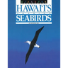 Discover Hawai'i's Soaring Seabirds