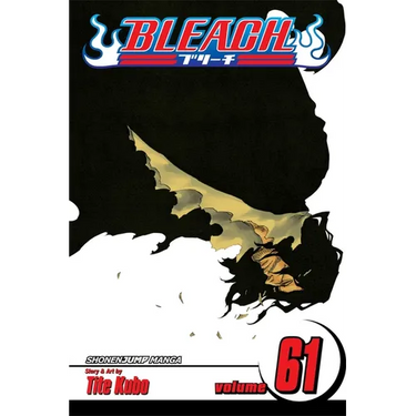 Bleach, Vol. 61: The Last 9 Days