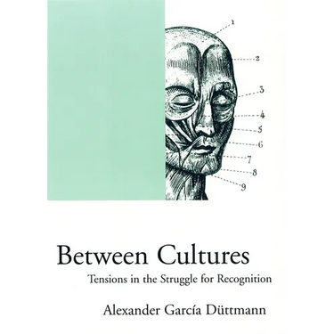 Between Cultures: Tensions in the Struggle for Recognition