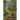 To Walk the North Direction
