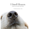 I Smell Heaven: Poems on our pets' end of life