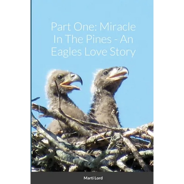 Part One: Miracle In The Pines - An Eagles Love Story