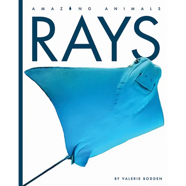 Rays