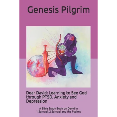 Dear David: Learning to See God through PTSD, Anxiety and Depression: A Bible Study Book on David in 1 Samuel, 2 Samuel and the Psalms