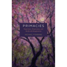 Primacies: Experience, Expression, and the Jewish Imagination