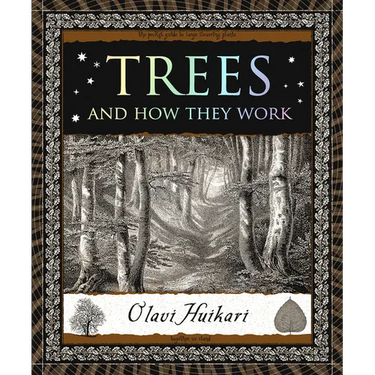 Trees and How They Work