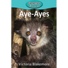 Aye-Ayes