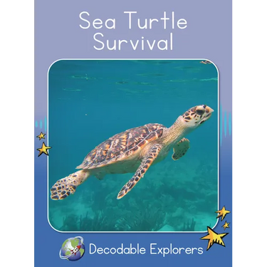 Sea Turtle Survival: Skills Set 8