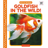 Goldfish in the Wild!