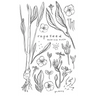 Rapeseed: Poetry and Writing About Life After Rape