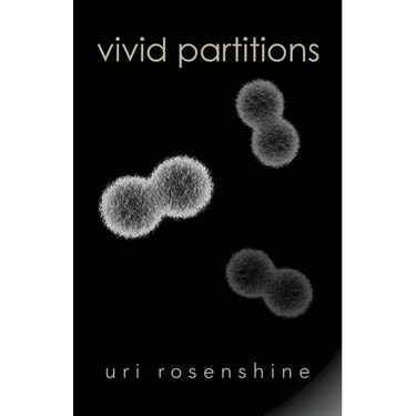 Vivid Partitions