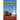 Southern Baptists: A History of a Confessional People