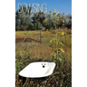 Dowsing