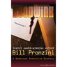 Hoodwink: The Nameless Detective