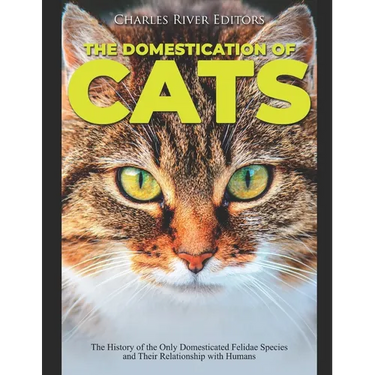The Domestication of Cats: The History of the Only Domesticated Felidae Species and Their Relationship with Humans