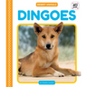Dingoes