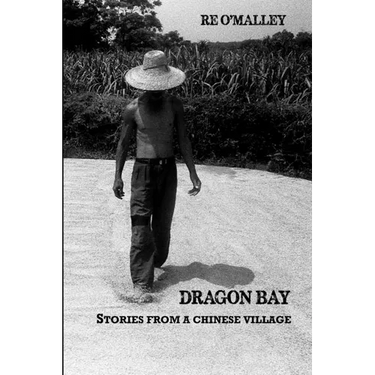 Dragon Bay: Stories from a Chinese Village