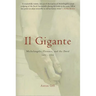 Il Gigante: Michelangelo, Florence, and the David 1492-1504