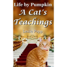 Life by Pumpkin: A Cat's Teachings