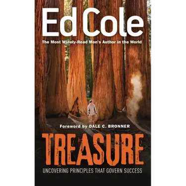 Treasure: Uncovering Principles That Govern Success